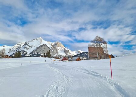 Winterwanderung Oberdorf - Schwendiseen