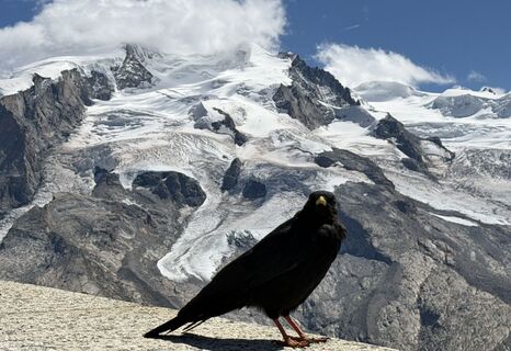 Foto von Robert Dolp entlang der Tour
