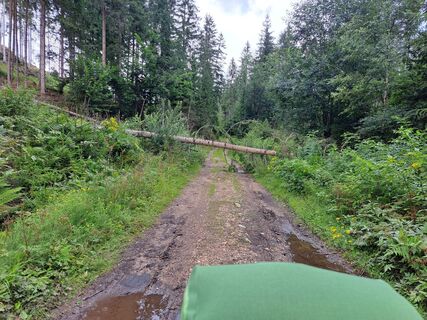 Foto von Flojan entlang der Tour