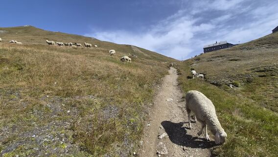 Photo de Marcel Veerhoek le long du parcours