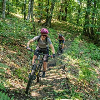 Ceneri Bike