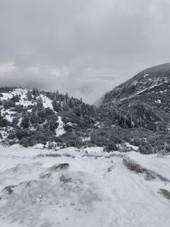 Foto von Daniela Hackl entlang der Tour