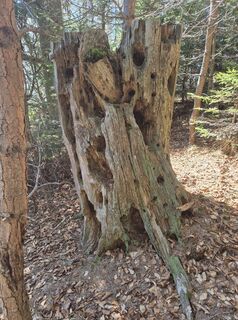 Fotografia z Wolfgang Wurzer 1 na trase