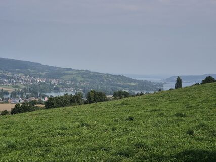 Photo de Thomi W le long du parcours