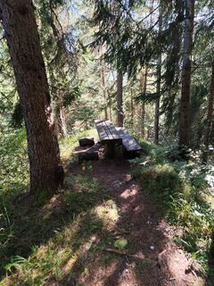 Photo de lidija kikec le long du parcours