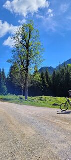 Photo de Helmuth Stangl le long du parcours