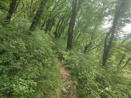 Foto da natasa natasa lungo il tour