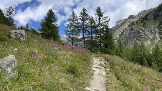 Photo de Peter Burki le long du parcours