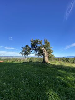 Fotografie z Sven Krieblin na trase
