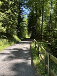 Foto fra Dominik Wymann underveis på turen