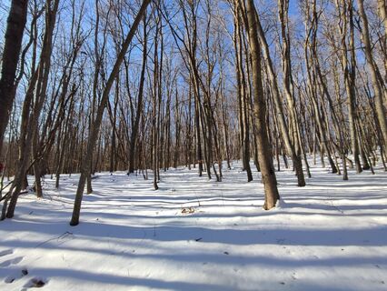 Photo de jasminfaber48 le long du parcours
