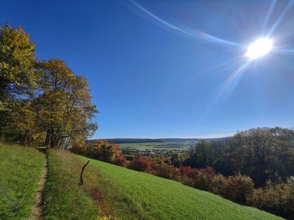 Im Orchideengebiet unterwegs auf der Wanderung Bliesgau Blicke