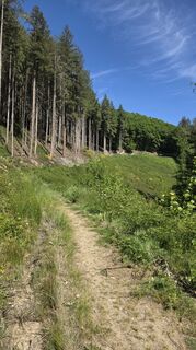 Photo de Dietmar Herrenschmidt le long du parcours