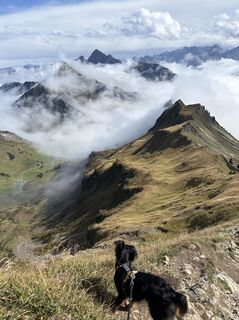 Foto von Clemens Farnleitner entlang der Tour