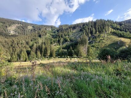 Almlandschaft