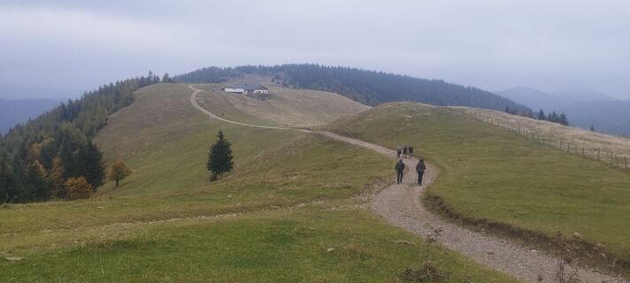 Foto von Beisteiner H entlang der Tour