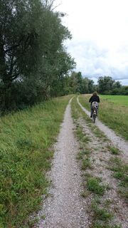 Am Ammerufer