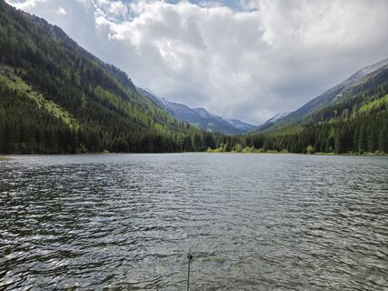Fotografija s spletne strani Timon Bertignoll na poti