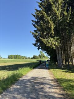 Fotografija s spletne strani Monika Allinger na poti