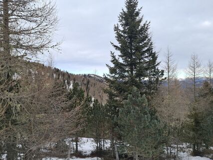 Foto von Gertraud entlang der Tour