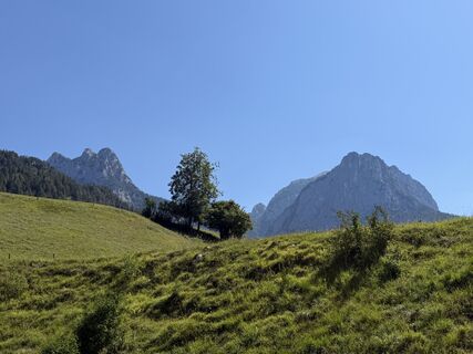 Photo de webwolf67 le long du parcours