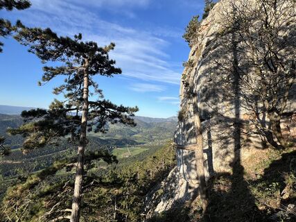 Springlessteig