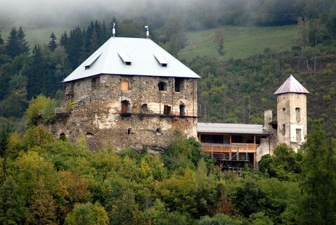 Heunburg in Haimburg