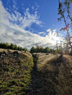 Zdjęcie z DevilsBastard wzdłuż trasy