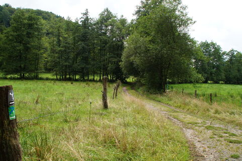 Wanderweg im Purder Bachtal