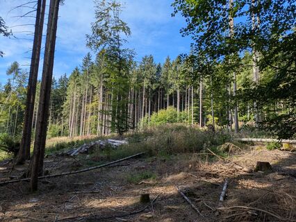 Photo de Kaiser 0_o le long du parcours