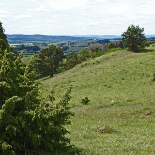 Landschaft der "Alten Warth" mit Blick zur Rhön