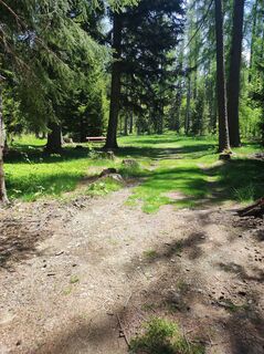 Fotografia z v.stein na trase