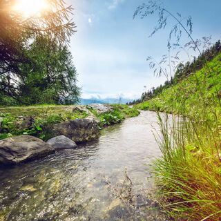 Suone von Tsittoret oberhalb Crans-Montana