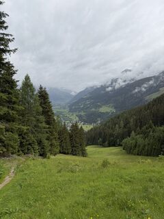 Fotografija s spletne strani Marielle van Gent-Bos na poti