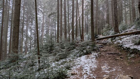 Foto de Johannes Zaunrith (Xinoi) a lo largo del recorrido