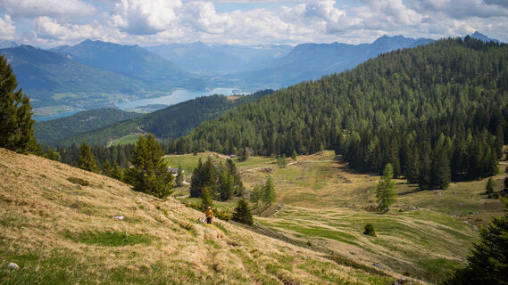 Foto von Kurt entlang der Tour