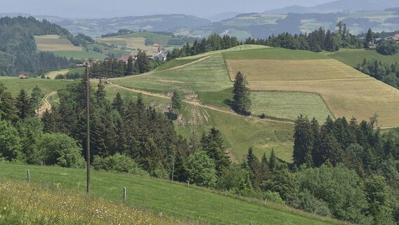 Foto von a.kaufmann entlang der Tour