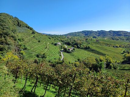 Fotografia z reisi70 na trase