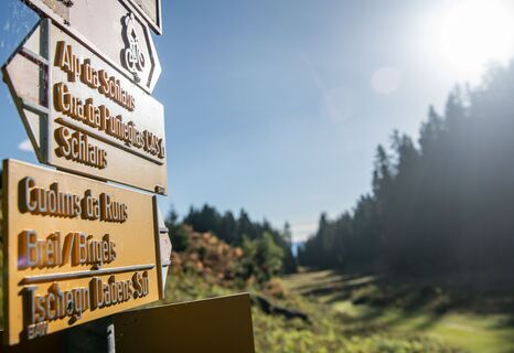 Plaun da Plaids Richtung Brigels