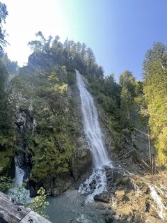 Fotografija s spletne strani pedaklaus na poti