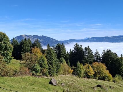 Zdjęcie z Maurer Silvia wzdłuż trasy