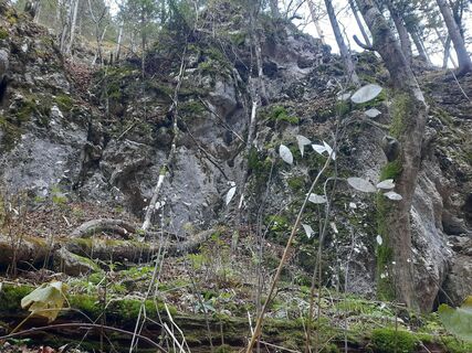 Фото с сайта Artemis83 во время экскурсии