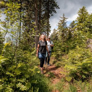 Wanderer auf dem Hilskammweg (Gr 1)