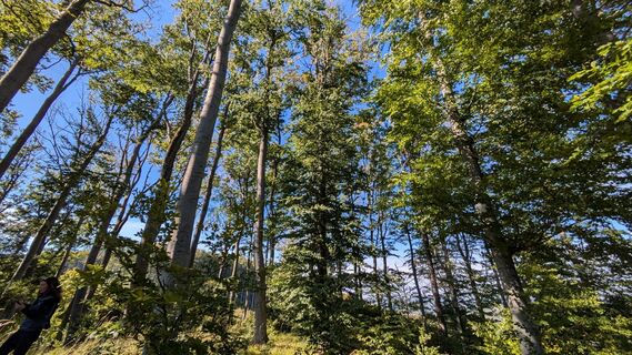 Zdjęcie z chrim wzdłuż trasy