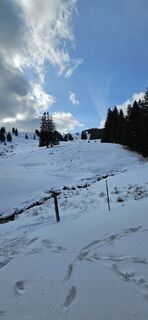 Foto de micsunel ciocirtau a lo largo del recorrido