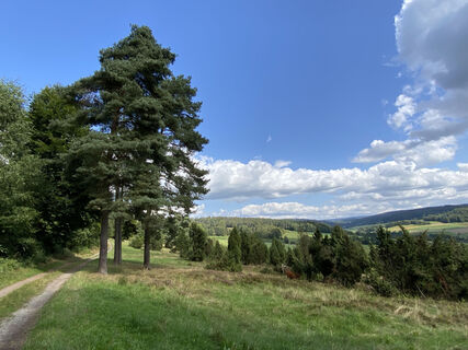Vockeröder Heide
