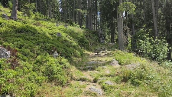 Fotografija s spletne strani Gerrit van der Linde na poti