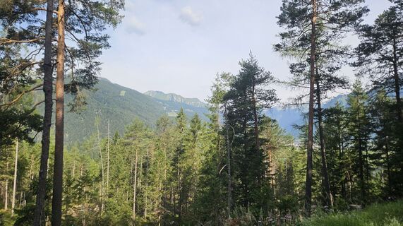 Foto von Klaus Reinhold entlang der Tour