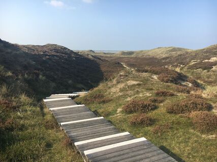 Treppe in die Listland-Dünen