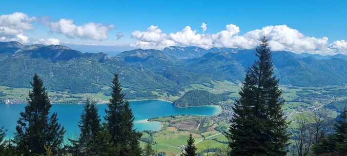 Foto von katzu entlang der Tour